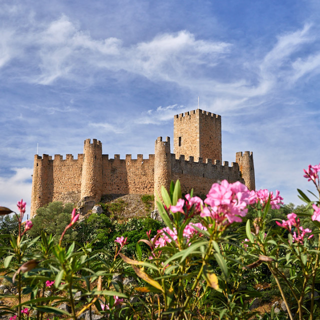 "Almourol Castle" stock image