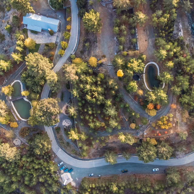 "Troodos Botanical Garden Birds Eye View" stock image