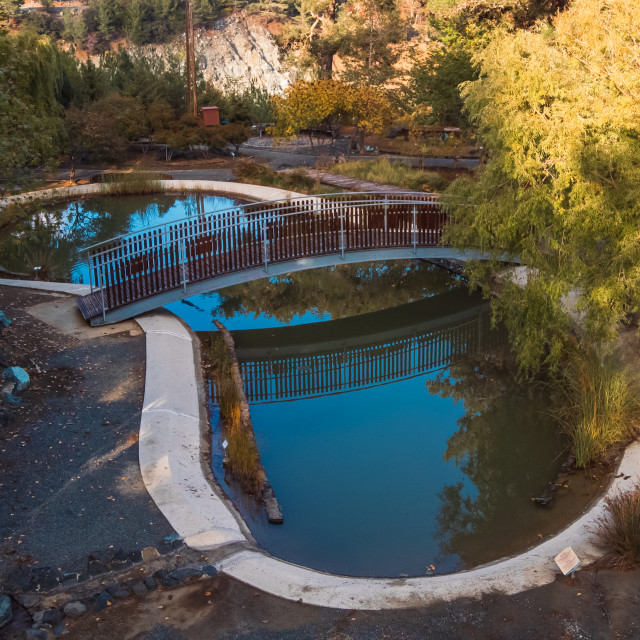 "Troodos Botanical Garden Pond" stock image