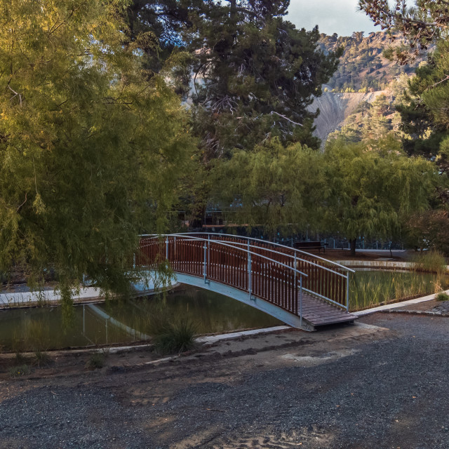 "Troodos Botanical Garden Pond" stock image