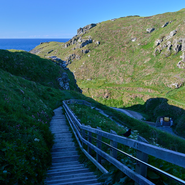 "Tintagel Castle" by Carlos A Esquivel - $18.20 "Tintagel Castle" stock image