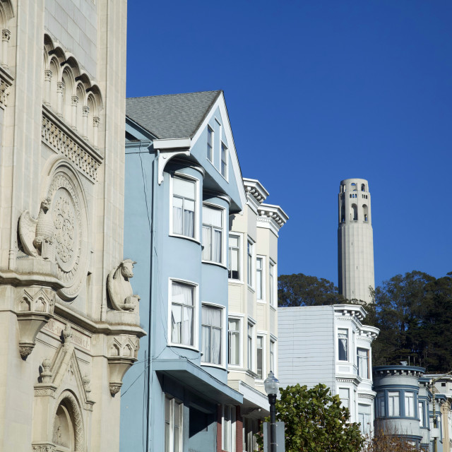 "Coit Tower" stock image