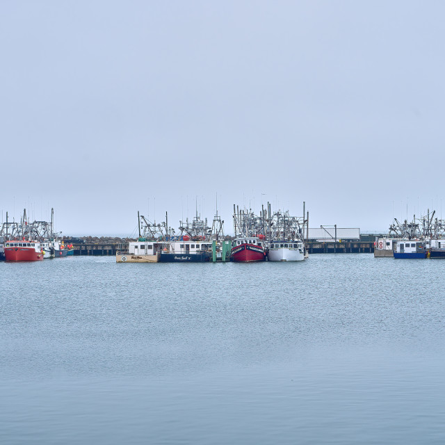 "Harbour in Digby - Nova Scotia" stock image