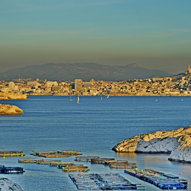 "Marseille coastline" stock image