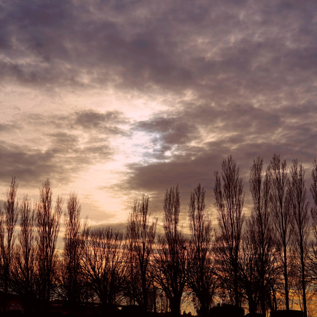 "park Borely - the sky" stock image