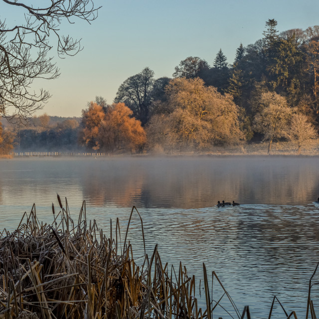 "Autumn At Fonthill Lake, Wiltshire" stock image