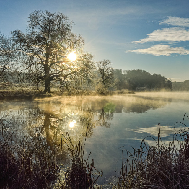 "Winter Sunrise At Fonthill Lake, Wiltshire" stock image