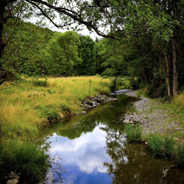 "Flusslandschaft nahe Ahrhütte" stock image