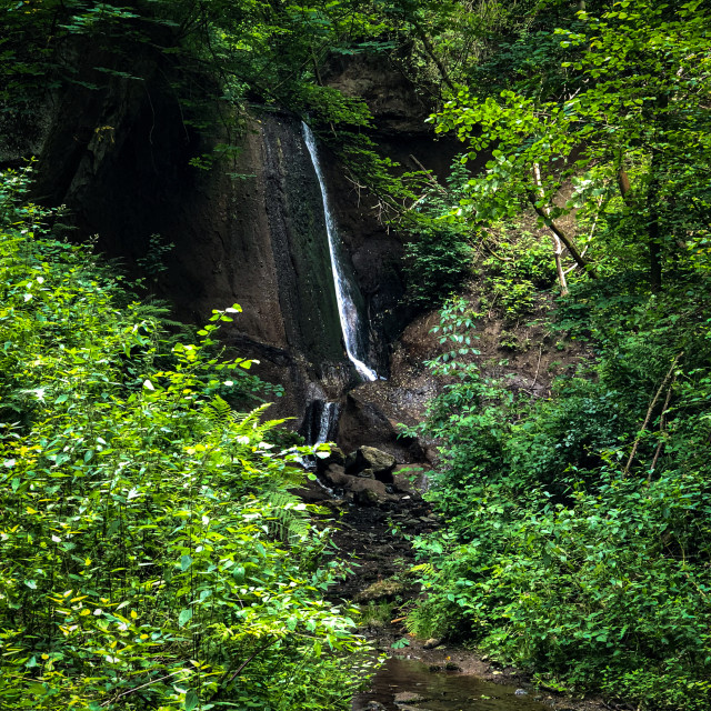 "In der Wolfsschlucht" stock image