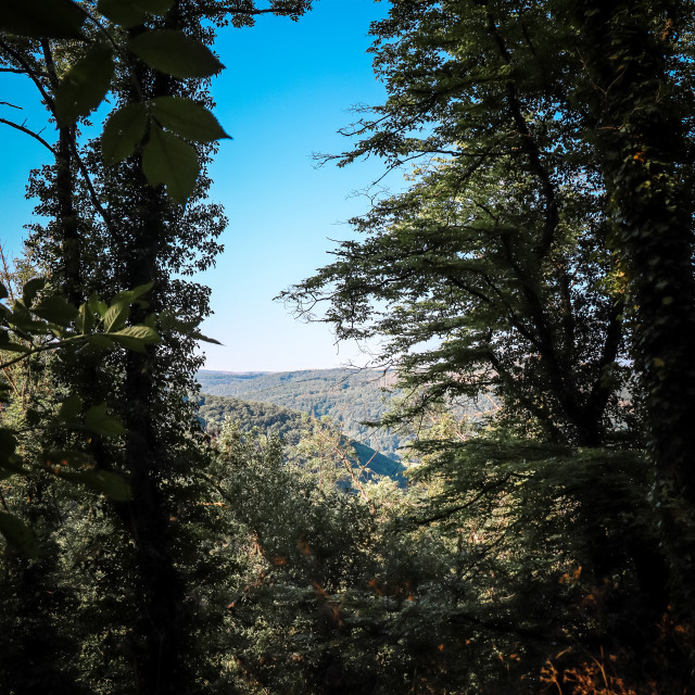 "Ausblick" by - $12.63 "Ausblick" stock image