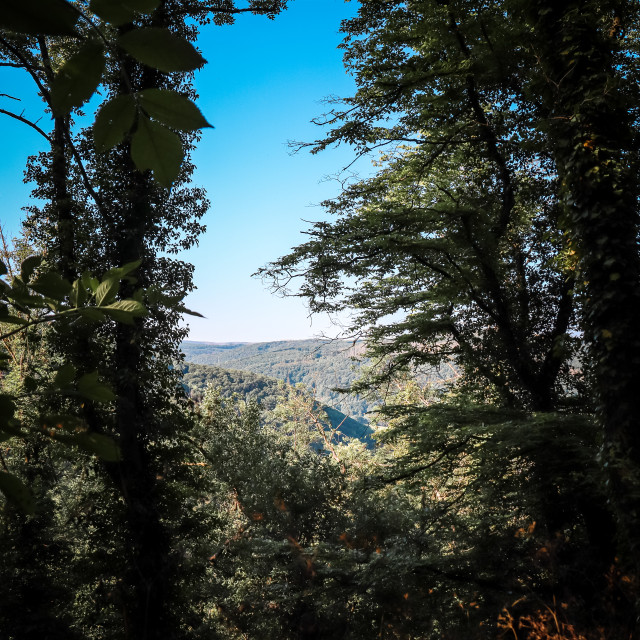 "Ausblick" stock image