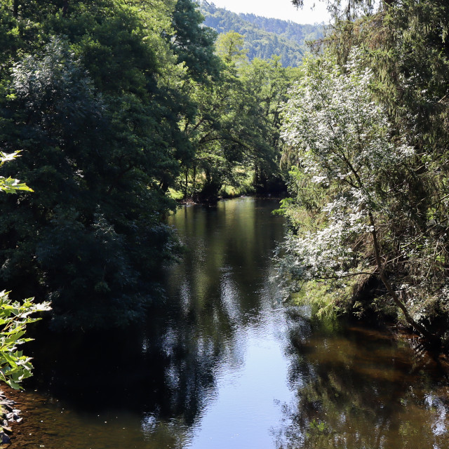 "Fluss in der Eifel" stock image