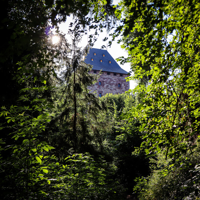 "Burg Nideggen" by - $12.26 "Burg Nideggen" stock image
