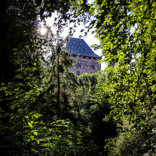 "Burg Nideggen" stock image