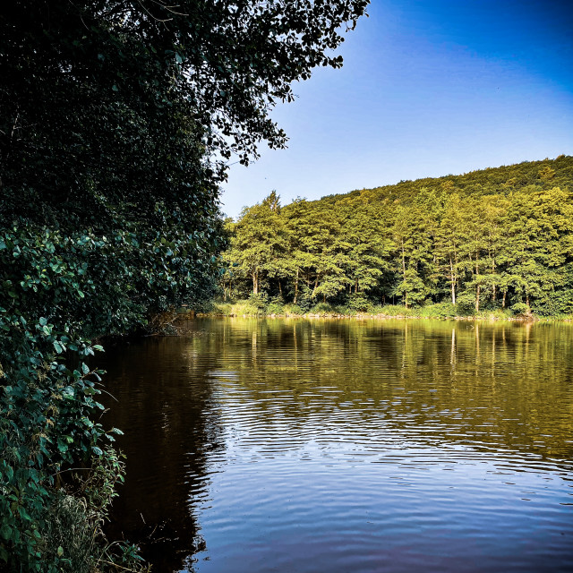 "Mühlensee bei Kommern" stock image