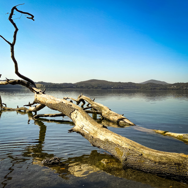 "Laacher See" stock image