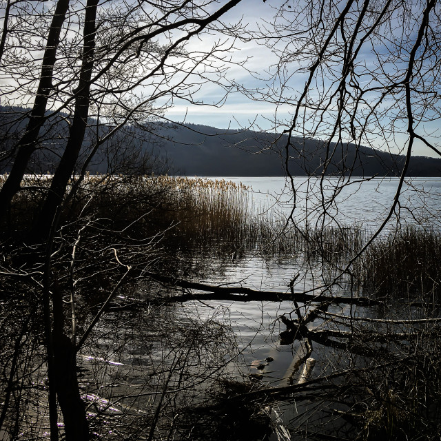 "Laacher See" stock image