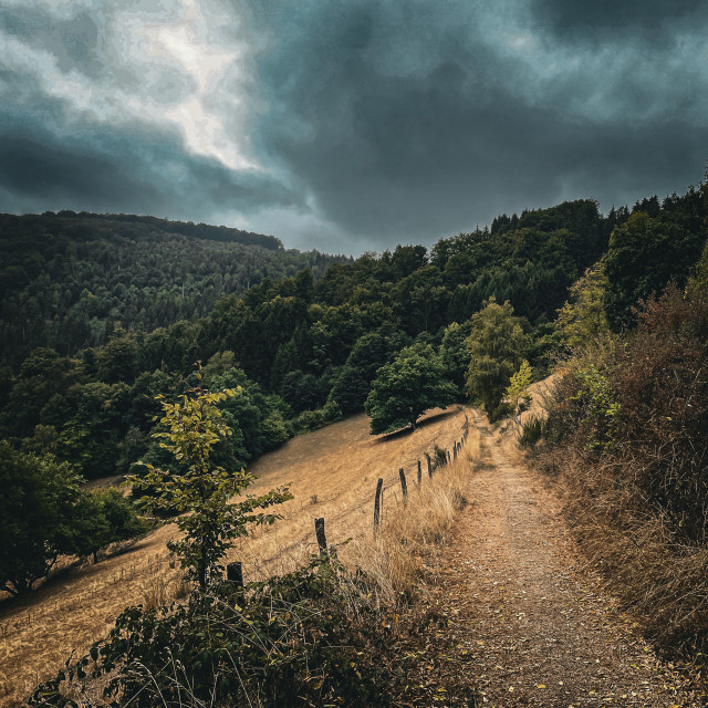 "Eifelpfad" by - $12.26 "Eifelpfad" stock image