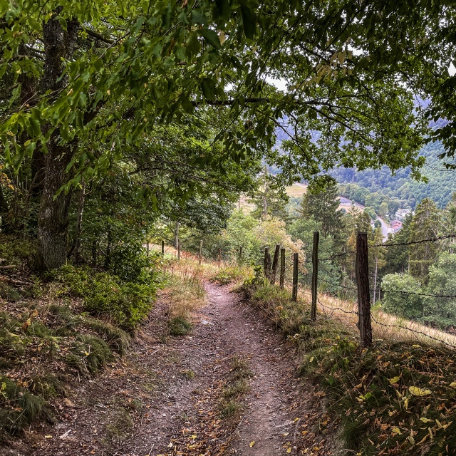 "Eifelpfad" stock image