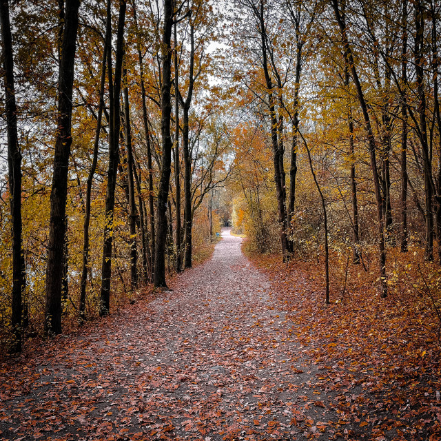 "Eifelpfad" by - $12.63 "Eifelpfad" stock image