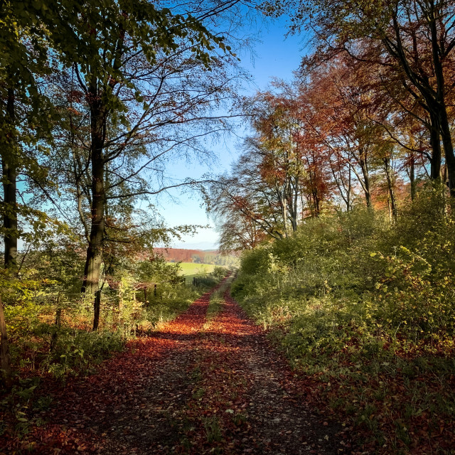 "Eifelpfad" stock image