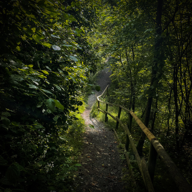 "Eifelpfad" by - $12.63 "Eifelpfad" stock image