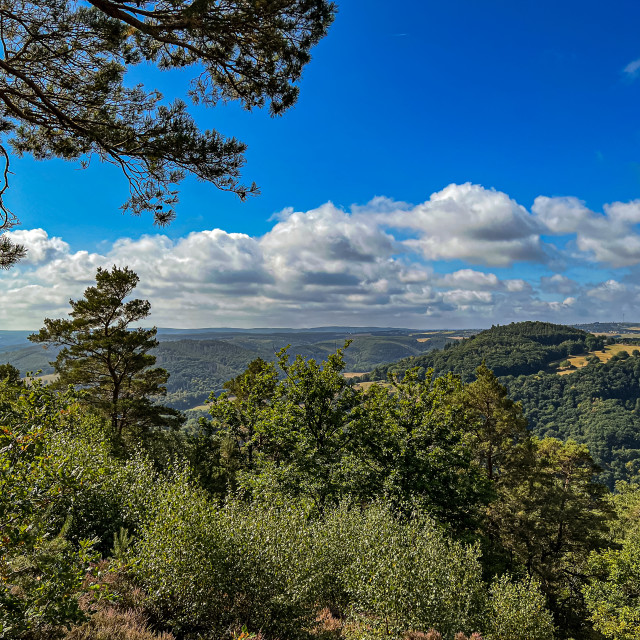 "Landschaft der Eifel" stock image