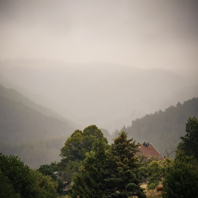 "Nebliges Herbslicht" stock image