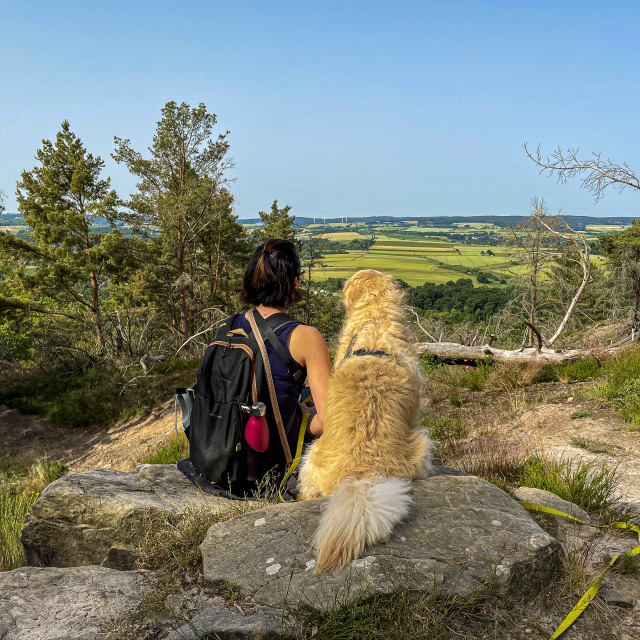 "Blick vom Altusknipp" stock image