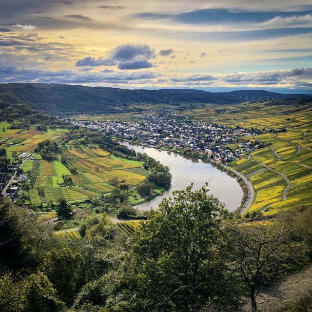 "Moselblick" by - $12.06 "Moselblick" stock image