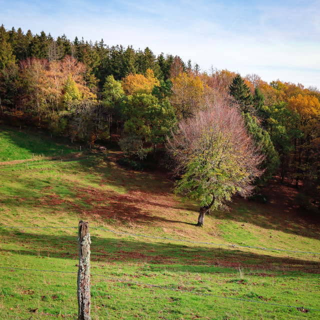 "Herbstlandschaft" stock image