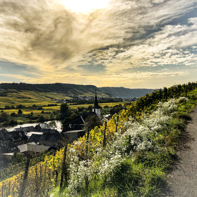 "An der Mosel" stock image