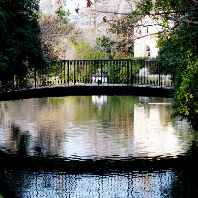 "A bridge" by Amit Mendelsohn - $49.60 "A bridge" stock image