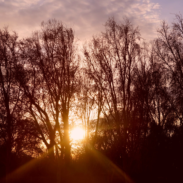 "sunset" by Amit Mendelsohn - $49.60 "sunset" stock image