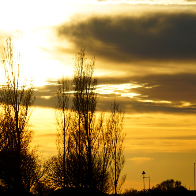 "sunset" by Amit Mendelsohn - $49.60 "sunset" stock image