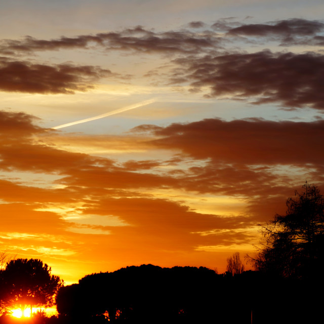 "sunset above the park" by Amit Mendelsohn - $49.60 "sunset above the park" stock image