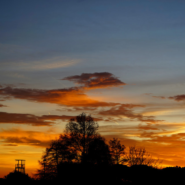 "sunset above the park" by Amit Mendelsohn - $49.60 "sunset above the park" stock image