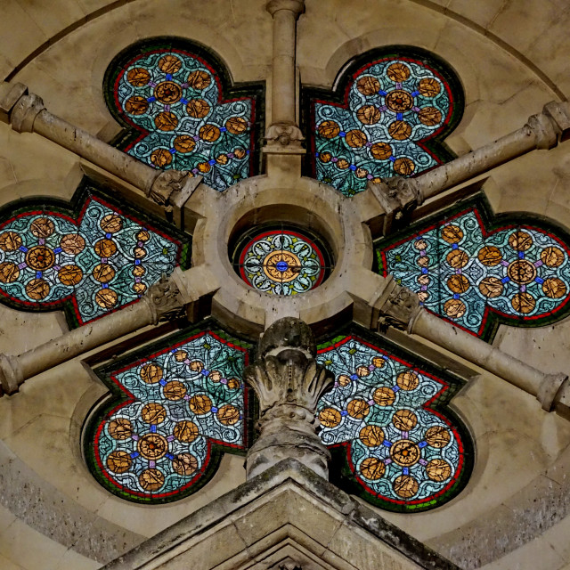 "The rosette of Parroise du rouet" stock image