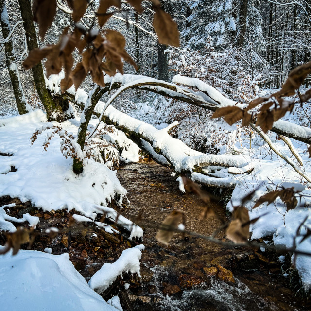 "Verschneiter Bachlauf" stock image