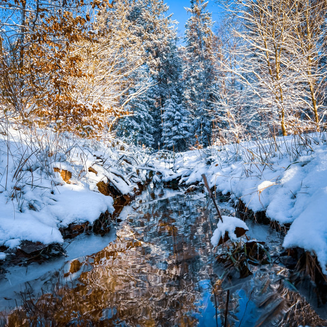 "Bach im Schnee" stock image