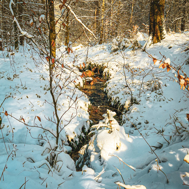 "Bachlauf unter Neuschnee" by - $8.84 "Bachlauf unter Neuschnee" stock image