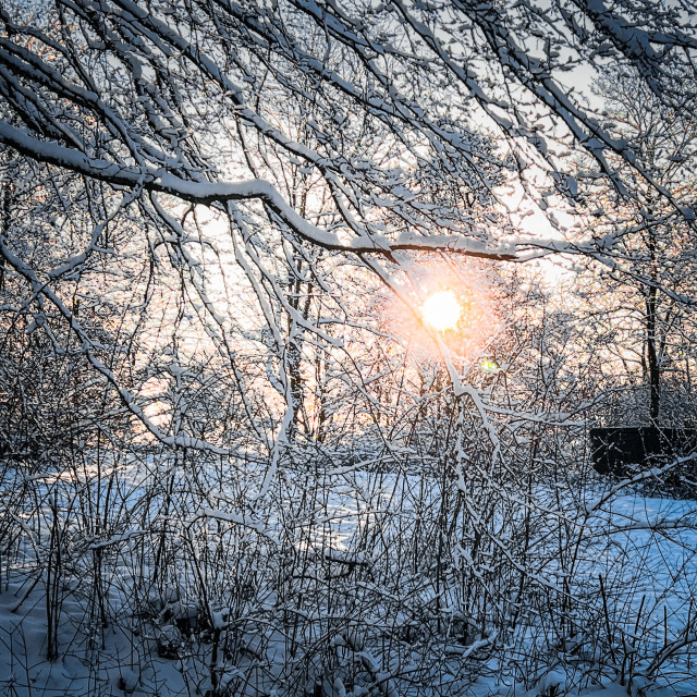 "Morgensonne" stock image