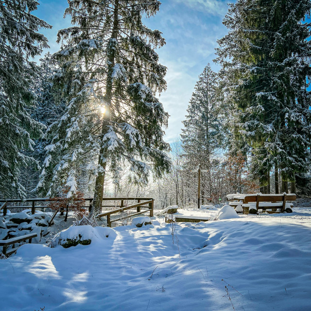 "Schneelandschaft im Hunsrück" stock image