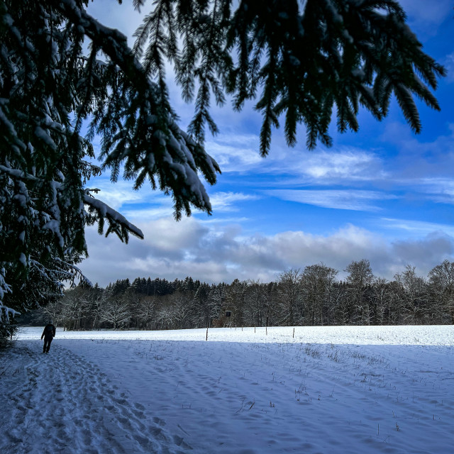 "Landschaft im Hunsrück" stock image