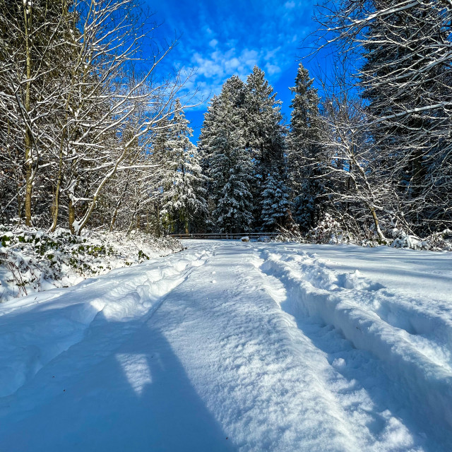 "Tiefer Schnee am Morgen" stock image