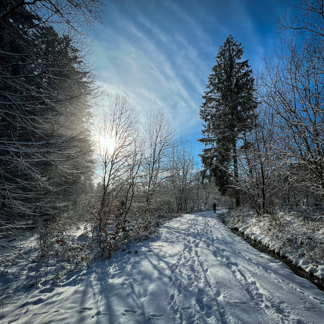 "Morgenstimmung nach dem Neuschnee" stock image