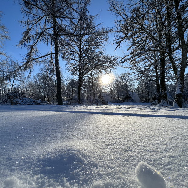 "Morgensonne auf Neuschnee" stock image