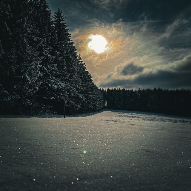 "Sonnenaufgang im Schnee" by - $8.84 "Sonnenaufgang im Schnee" stock image