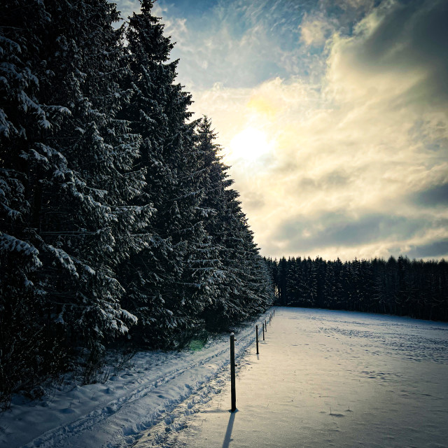 "Morgenstimmung im Hunsrueck" stock image