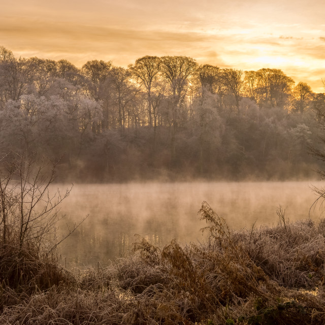 "Winter Sunrise At Fonthill Lake, Wiltshire" stock image